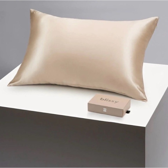 Blissy Silk Pillowcase Queen Champagne 100% Silk 22 Momme Hidden Zipper NIB